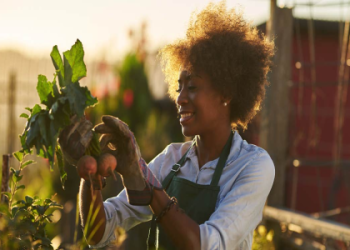 Best Indoor Hobbies to Start Now (Affordable Ideas to Keep You Busy)