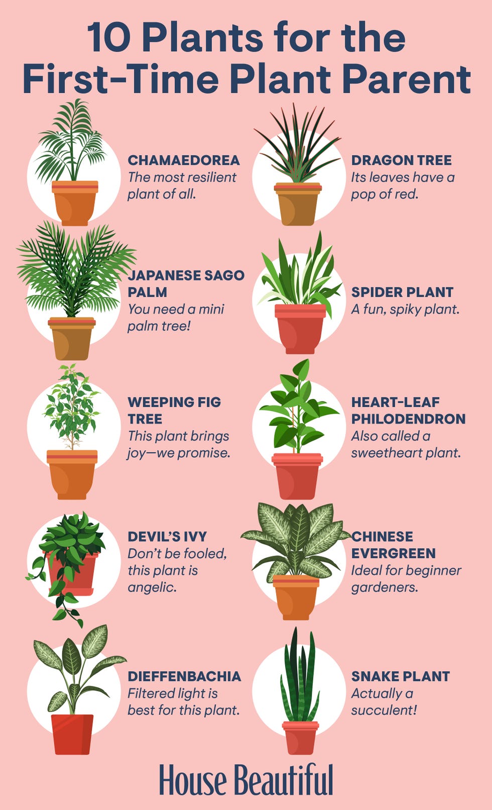 Light indoor plants that dont need much fuss here.