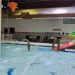 Hotels in Lancaster PA with Indoor Pool, Dive In! Top Picks for a Splashing Good Time.