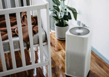 Are Air Purifiers a Waste of Money or Worth the Investment?