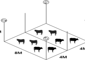 cow dao knowledge base for Beginners: Learn the Basics and Get Started!