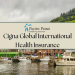 Best Global Health Coverage? See if Morgan Price International Healthcare Fits Your Needs.