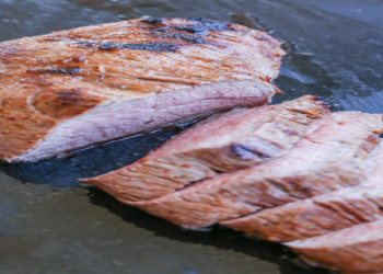 How to Cook Tri Tip in an Air Fryer (Easy Guide for Beginners)