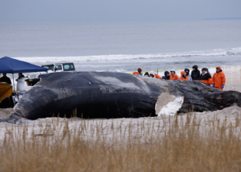 How Much Money Can You Get for Donating Sperm (Top Rates Revealed in 2023)