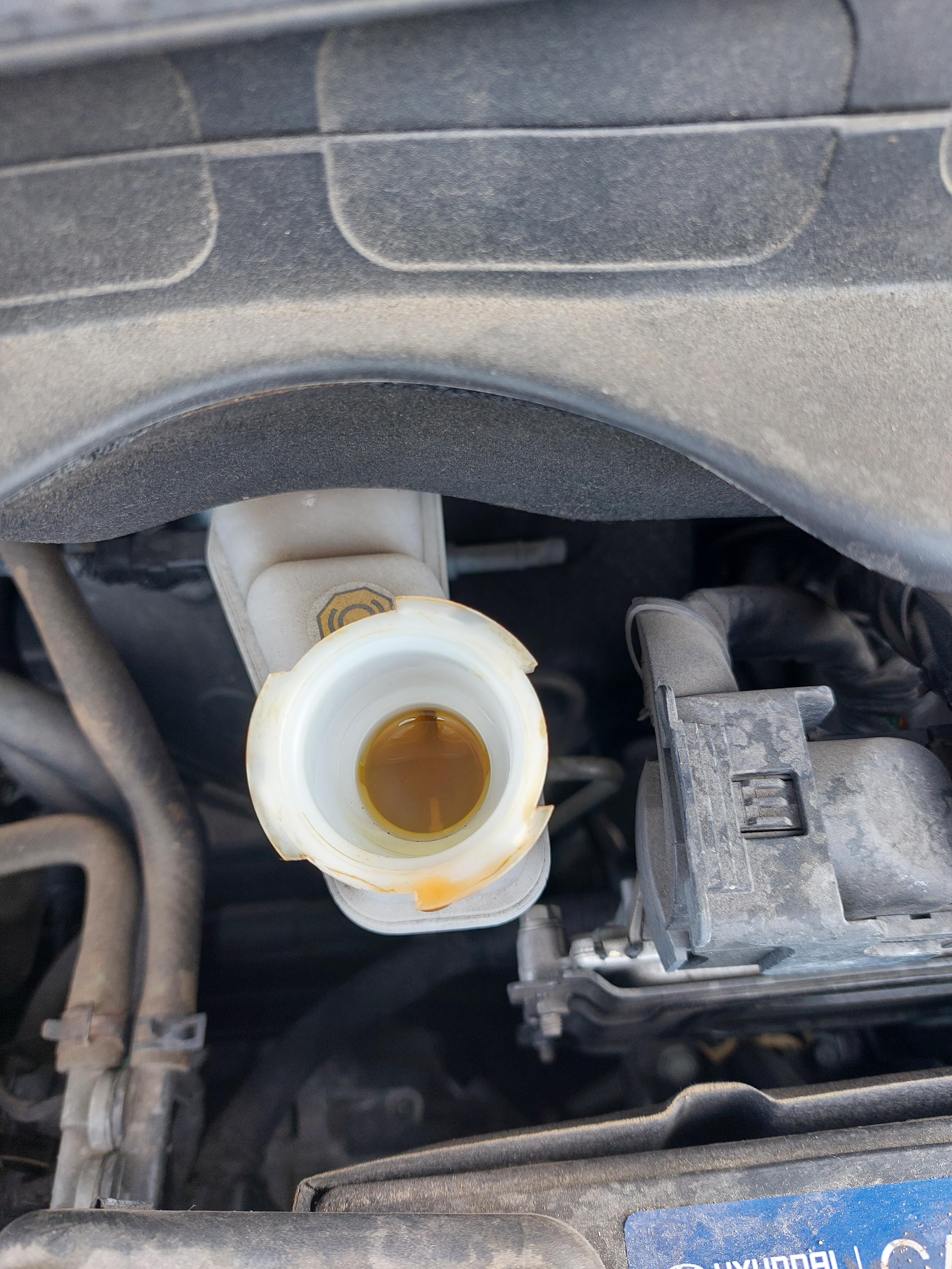 Brake Fluid Flush Waste of Money Debate: When to Say Yes or No