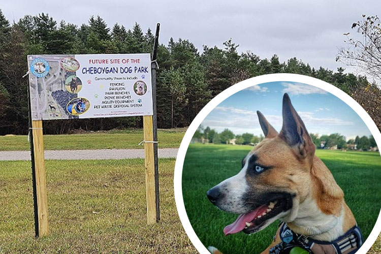 Uncover who raised money for the dog park in East Troy. Get the story here now.