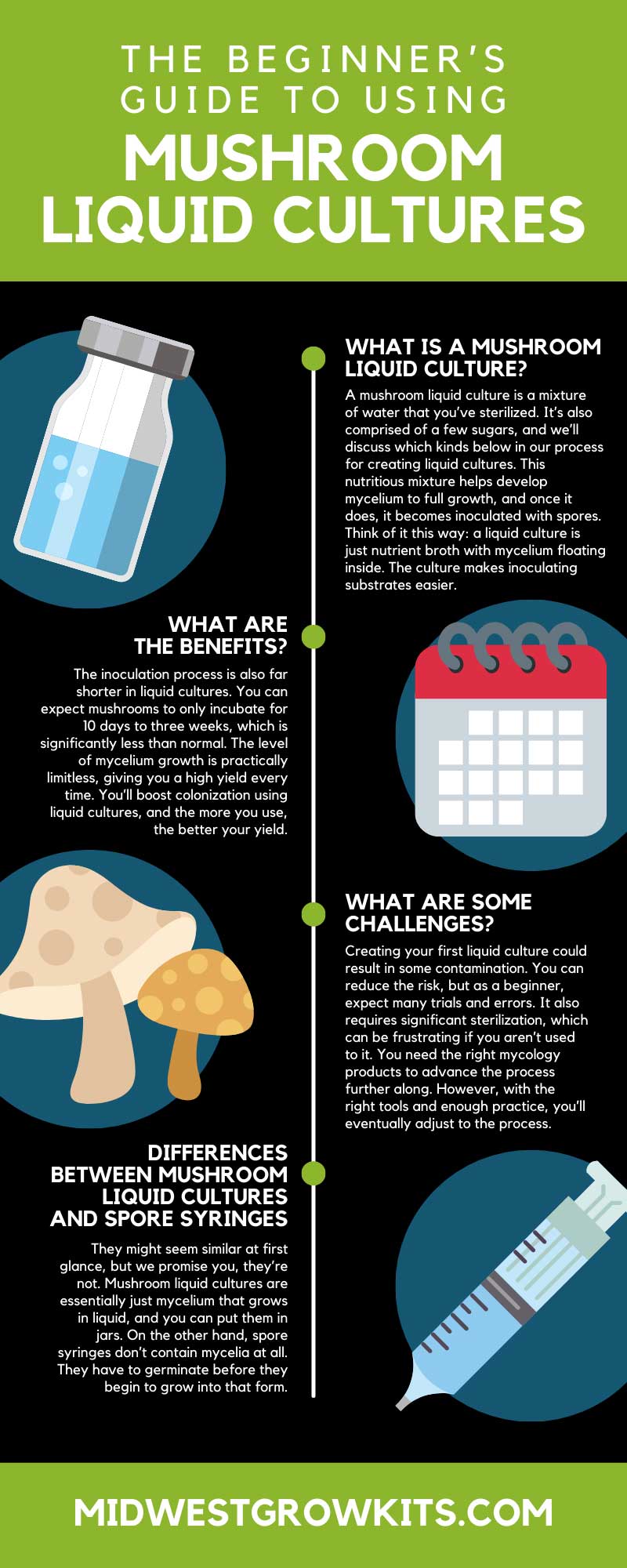 Liquid Culture Mushrooms: Easy Guide (Grow Mushrooms Fast at Home Now)