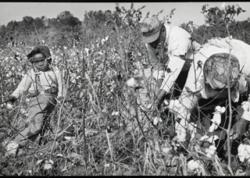 American History Short Stories: Explore Key Moments Through Engaging Tales in Just Minutes!