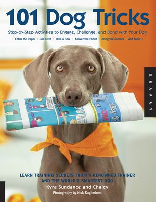 Canine culture 101: Everything you need to know about your dog and how to enhance your bond.
