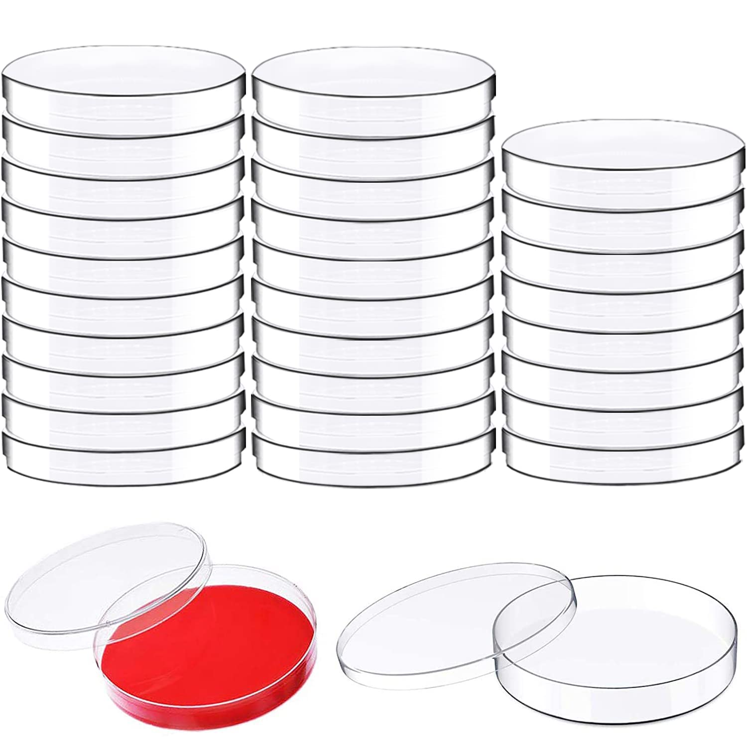 Where to Buy Culture Dishes? Top Places to Get Quality Supplies