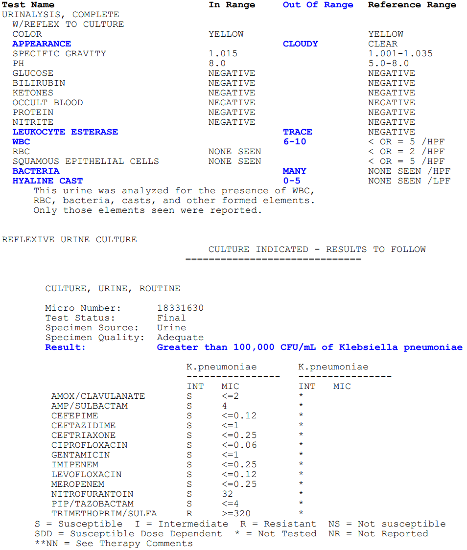 Urinalysis Complete w Reflex to Culture Explained: A Quick and Easy Overview