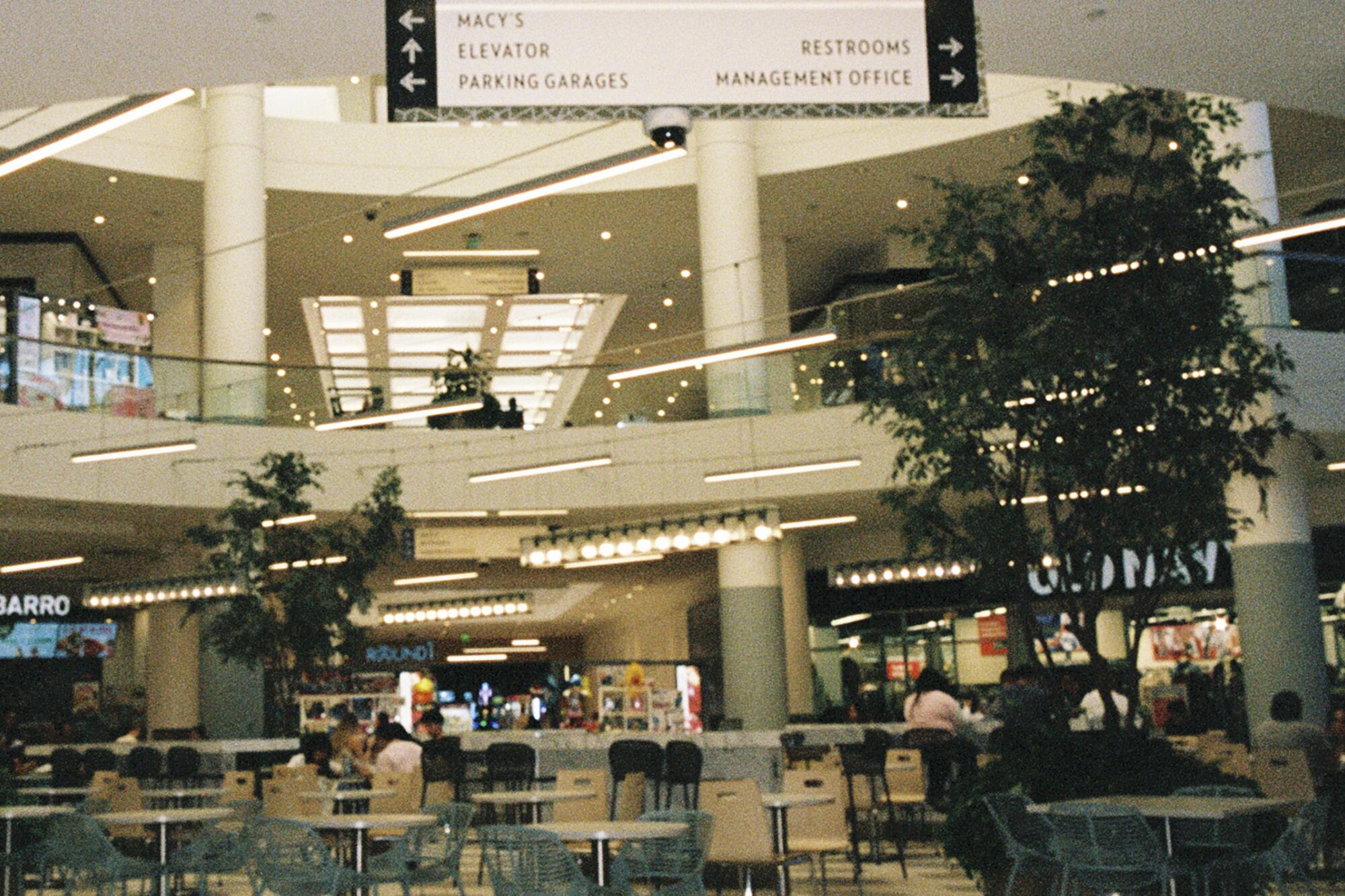 Planning Dinner? Check What Time Does the Mall Food Court Close Tonight.