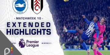 7 Expert Insights and Stunning Estadísticas de Fulham contra Brighton & Hove Albion Football Club You Can’t Miss