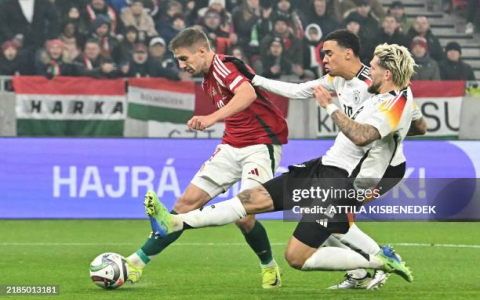 7 Expert Tips to Decode Sweden National Football Team vs Azerbaijan National Football Team Standings: The Ultimate Guide