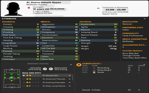 7 Expert Secrets to Elevate Your fh hafnarfjordur football club Experience Today