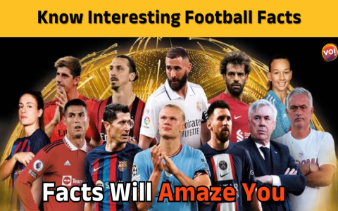 7 Ultimate Facts About équipe du paraguay de football Every Football Fan Must Know