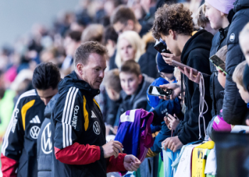 7 Expert Tips To Decode the German Football League Table Like a Pro