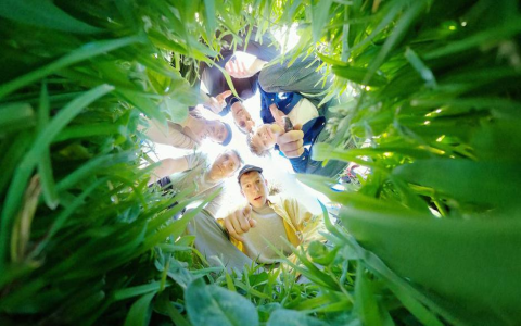 7 Expert Secrets to Winning with BBC Football Prediction: The Ultimate Guide for Fans