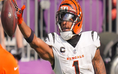 How Many Teams in the Arena Football League: 2024 Expert Breakdown, Key Facts, and Surprising Insights