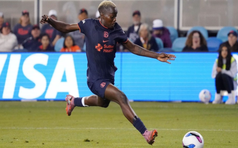 7 Ultimate Insights Into the Brazilian Soccer League You Must Know