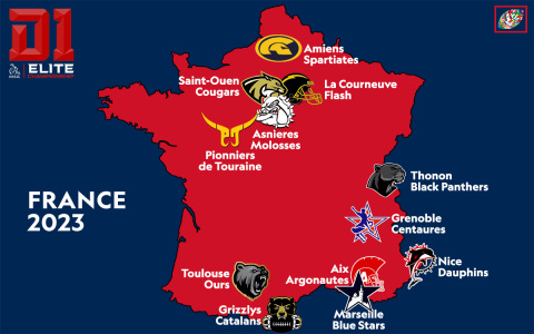 10 Surprising Facts About Football League France You NEED to Know