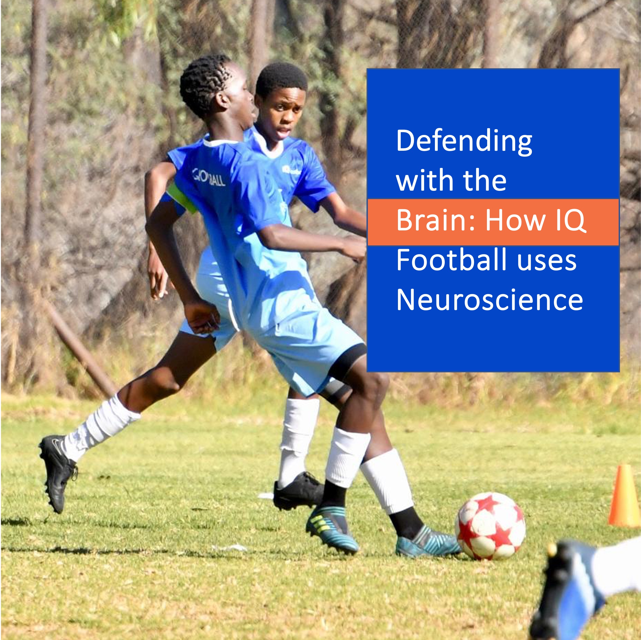 7 Expert Secrets to Decoding Zurich Football Results and Boosting Your Game IQ