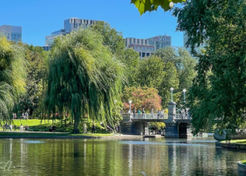 7 Expert Secrets to Choosing the Best Beach Football Shoes: The Ultimate Guide for Every Player