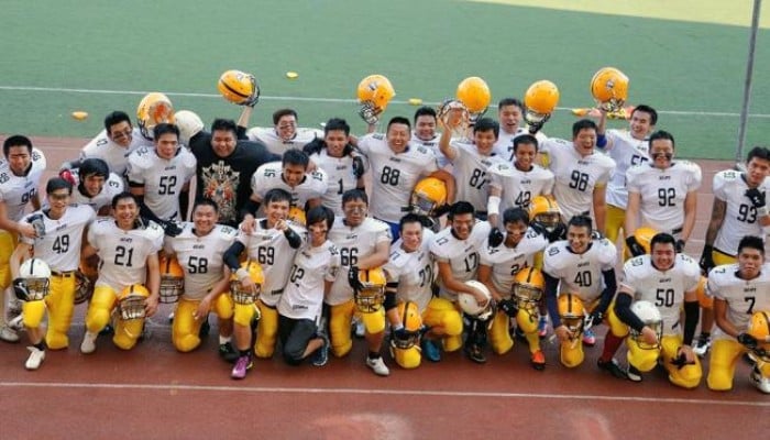 10 Ultimate Insights into the Chinese National Football League You Need to Know