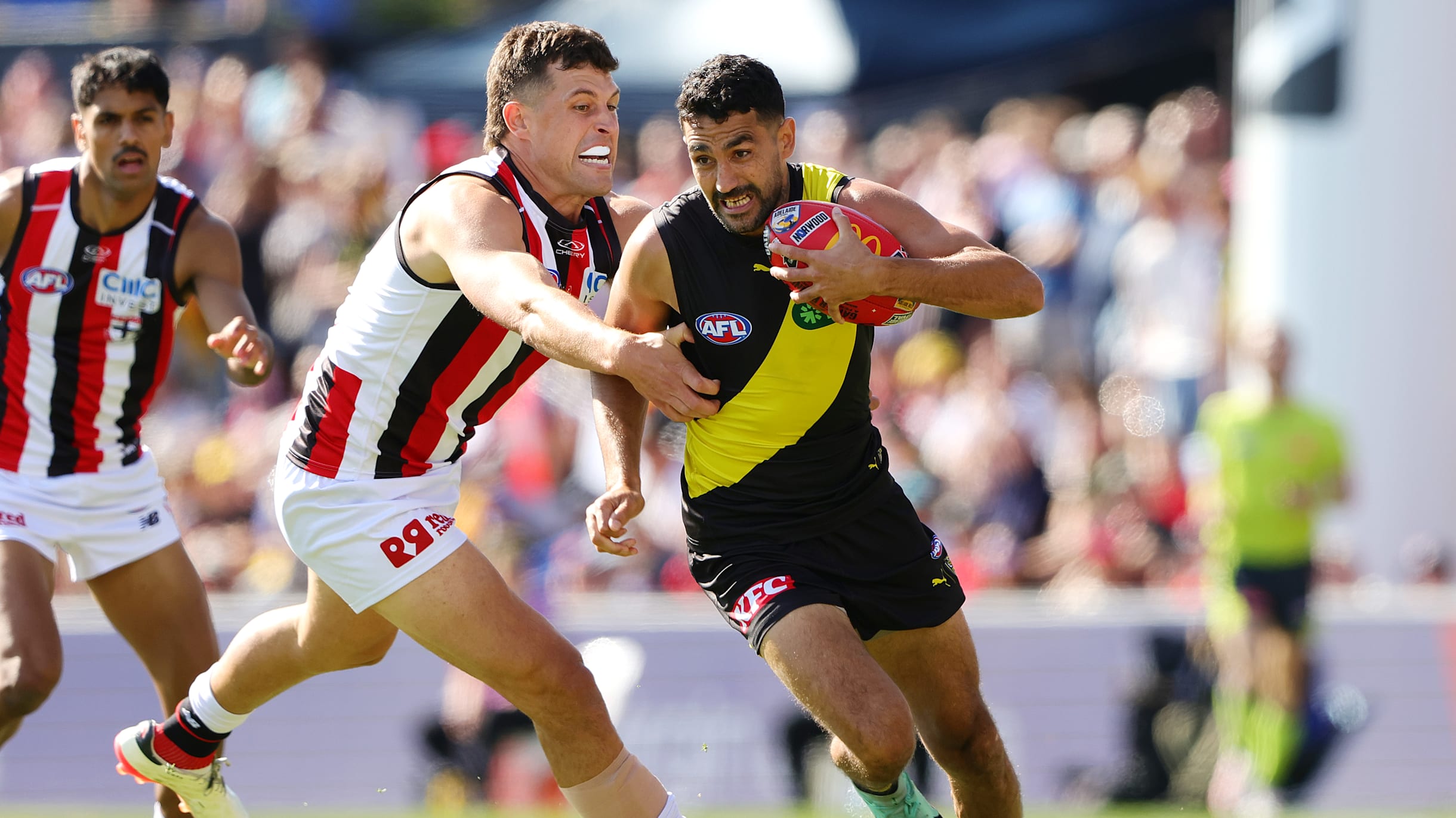 7 Ultimate Insights into the Australian Footy League You Need to Know