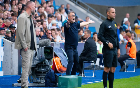 10 Expert Tips for Understanding League 1 Standings France: The Ultimate 2024 Guide