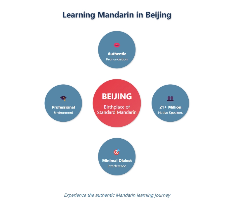 7 Expert Tips to Master Chinese League Standings in 2024