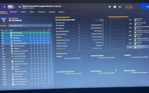10 Expert Secrets to Understanding the English Football League System